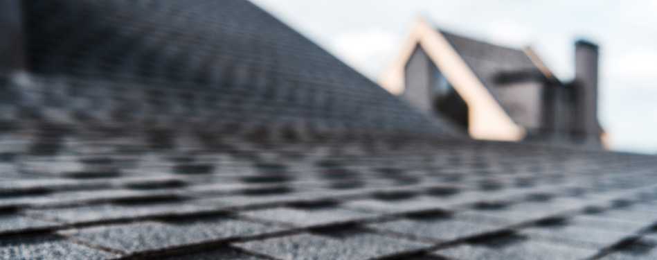 Shingle Roof